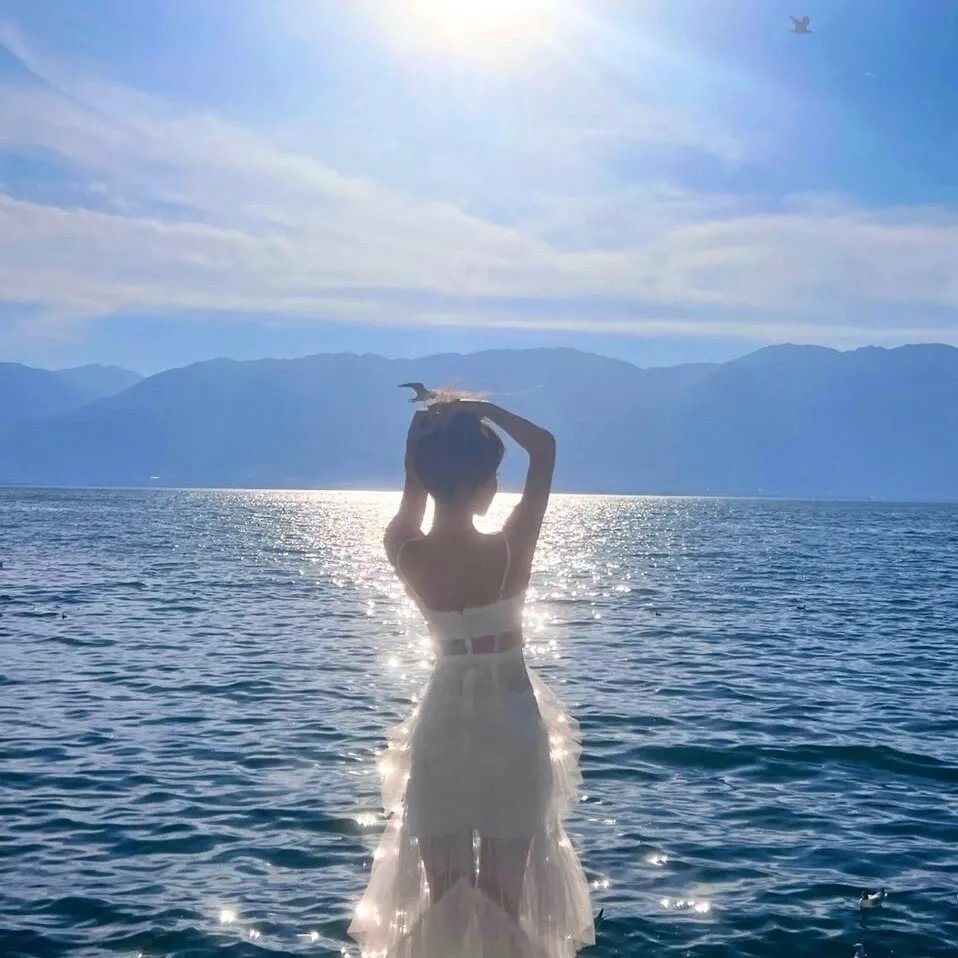 橱窗里的兔子先生 海报