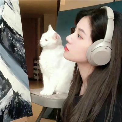 兔子陷阱